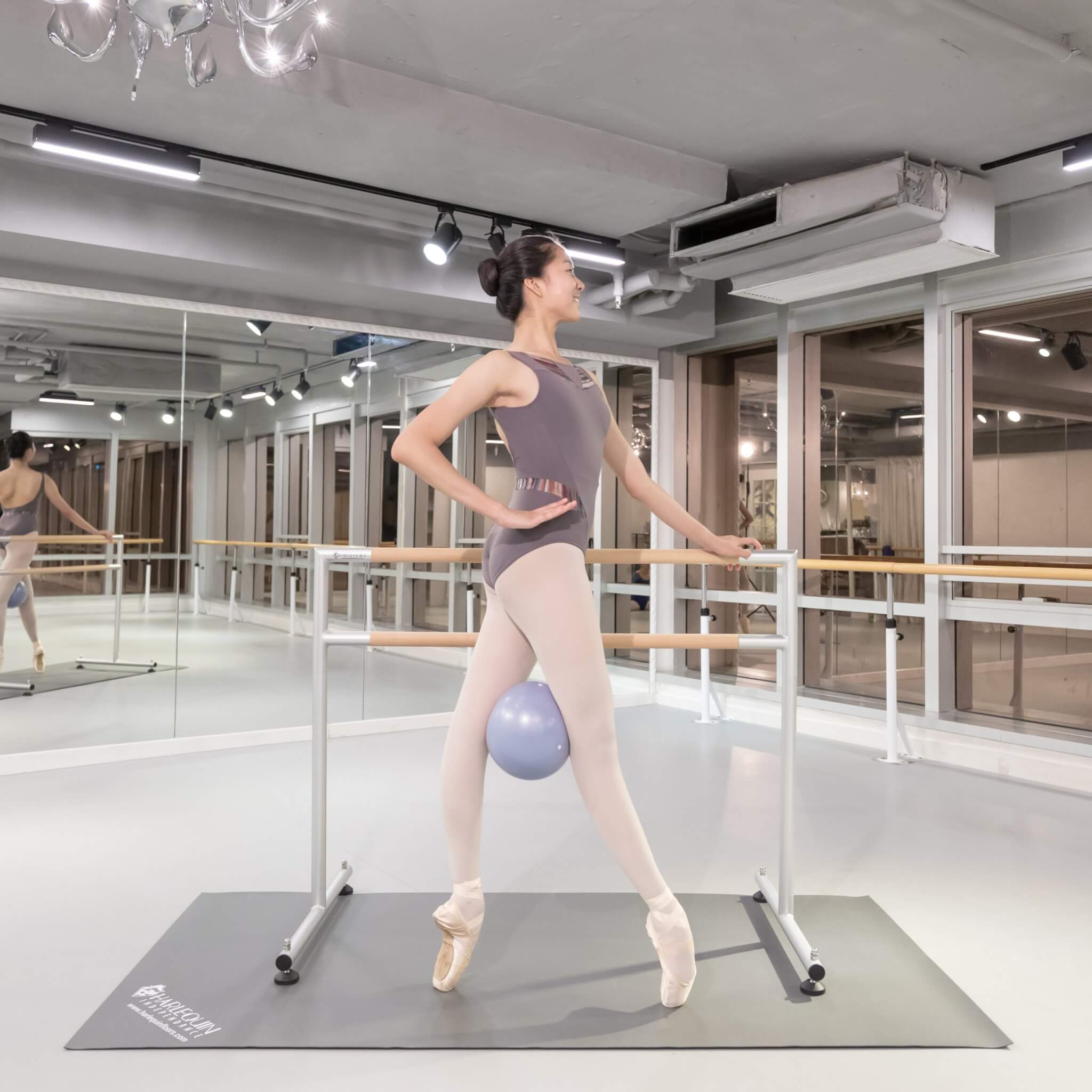 The Ballet Barre Company - ballet barres, sprung dance floors, gym