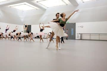 Harlequin WoodSpring