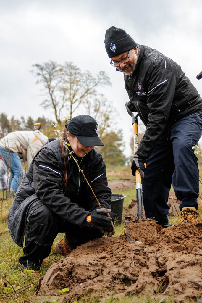 Sustainability Blog Trees 2