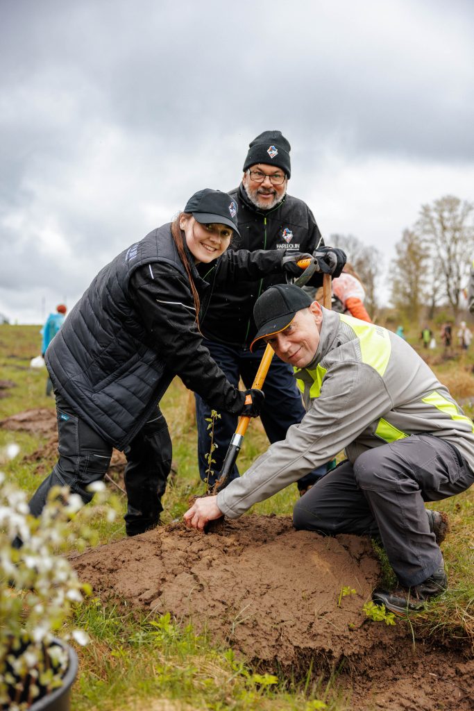 Sustainability Blog Trees 3