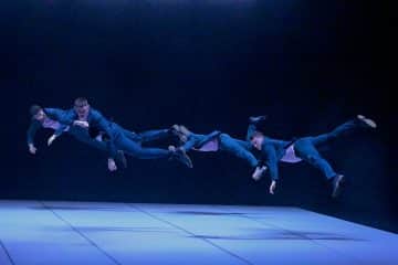 Harlequin Reversible